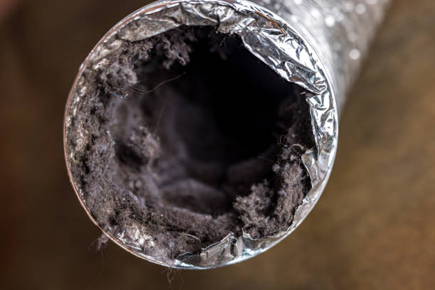 Best Best Air Duct Cleaning Near Me  in Bondurant, IA